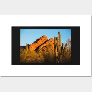 Papago Park Mountain at Sunrise Phoenix AZ Cactus Posters and Art